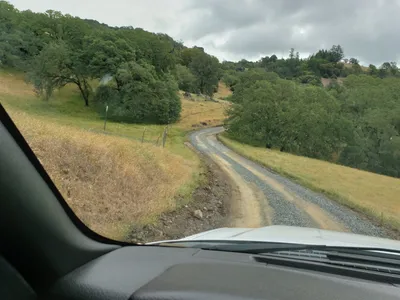 20190520_104647 (Large).jpg